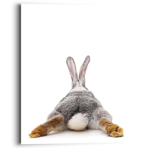 Wandbild Kaninchen Rabbit - Hase - Schwanz - Relax - Deco Panel MDF 40 x 50 cm Weiß Kinderzimmer Tiere von REINDERS
