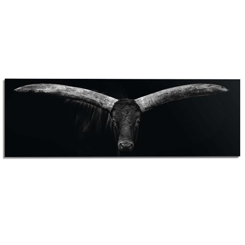 REINDERS Wandbild Ochse Tier - Bulle - Stier - Wildtiere - Deco Panel MDF 156 x 52 cm Schwarz-Weiß Home Office Tiere von REINDERS