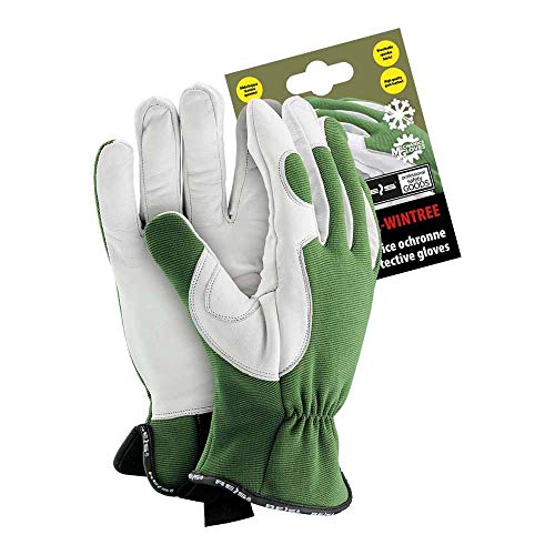 Reis Rmc-Wintree10 Mechanics Gloves Schutzhandschuhe, Grün-Weiß, 10 Größe, 12 Stück von REIS