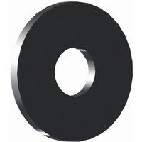 Reisser - sb Karosseriescheiben V2A 10,5 x 30 Paket 100 Stück gebeizt, passiviert, verpackt a 100 von REISSER