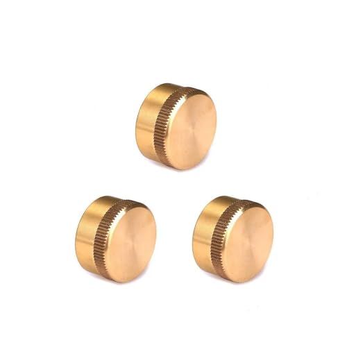 REIUAFWYGV 1"-20 UNF Female Protection Cap Brass Pipe Fitting for Propane Gas Tank von REIUAFWYGV