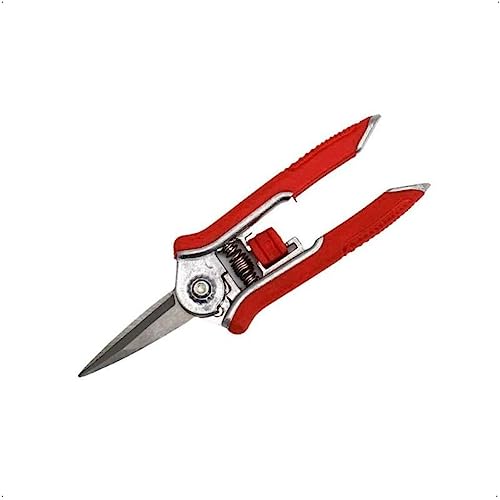 Rekord Mini-Schere Feinschnitt, Edelstahlklinge, leicht durch Aluminiumkörper, rutschfeste Griffe, Trimmerschere, Rosenschere, Pflanzenschere, Bonsaischere, Pflegeschere Rekord Mini-Schere Feinschnitt, Edelstahlklinge, leicht durch Aluminiumkörper, rutschfeste Griffe, Trimmerschere, Rosenschere, Pflanzenschere, Bonsaischere, Pflegeschere von REKORD Qualität in Ihrer Hand