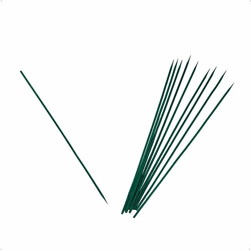 Rekord Pflanzstäbe (10 Stück, Grün) aus Bambus, Gesamtlänge: je 40 cm, Stütze für kleine Pflanzen, Vielzweckstäbe Bambusstäbe, Rankhilfen, Dekostäbe, Bastelstäbe von REKORD Qualität in Ihrer Hand