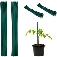 100 x Pflanzstäbe, HxD 30 x 0,5 cm, Rankhilfe für Jungpflanzen, mit Bindedraht, Bambusstäbe, Blumenstützen, dunkelgrün 100 x Pflanzstäbe, HxD 30 x 0,5 cm, Rankhilfe für Jungpflanzen, mit Bindedraht, Bambusstäbe, Blumenstützen, dunkelgrün von RELAXDAYS