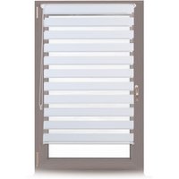 4 x Doppelrollo Klemmfix ohne bohren, Seitenzugrollo mit Streifen, Duo-Rollo für Fenster, Stoff 81x156 cm, weiß von RELAXDAYS
