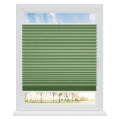 RENA Plissee ohne Bohren Rollos für Fenster | Faltrollos für Fenster & Tür | Plisseerollo nach Maß Verdunkelung | Fenster Rollos für Innen | Jalousie Grün 120x160 cm RENA Plissee ohne Bohren Rollos für Fenster | Faltrollos für Fenster & Tür | Plisseerollo nach Maß Verdunkelung | Fenster Rollos für Innen | Jalousie Grün 120x160 cm von RENA