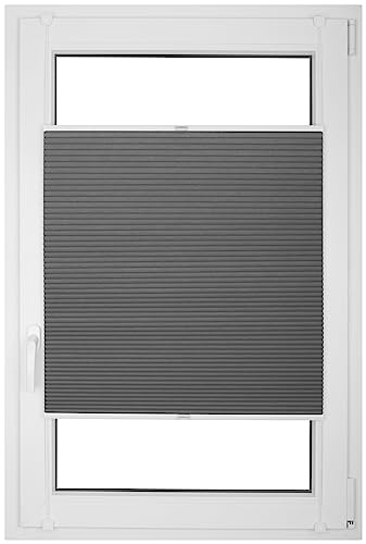 RENA Wabenplissee Thermo Plissee ohne Bohren Verdunklungsplissee Blickdicht Fenster Balkonfenster Balkontür Verdunkelung Sonnenschutz Innen Sichtschutz Hitzeschutz Graphit 50x100 cm RENA Wabenplissee Thermo Plissee ohne Bohren Verdunklungsplissee Blickdicht Fenster Balkonfenster Balkontür Verdunkelung Sonnenschutz Innen Sichtschutz Hitzeschutz Graphit 50x100 cm von RENA