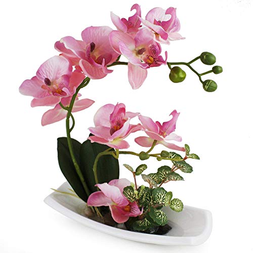 RENATUHOM Künstliche Orchidee in weißem Porzellantopf, künstliche Blumen und Pflanzen für Innendekoration, realistisch und lebensecht C-rosa-1 von RENATUHOM