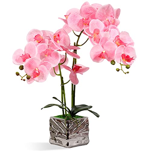 RENATUHOM Künstliche Orchidee rosa Orchidee fühlt Sich echt an künstliche Orchidee Bonsai mit silberner Keramikvase künstliche Topfpflanze für Zuhause Schlafzimmer Küche Badezimmer Tischdekoration von RENATUHOM