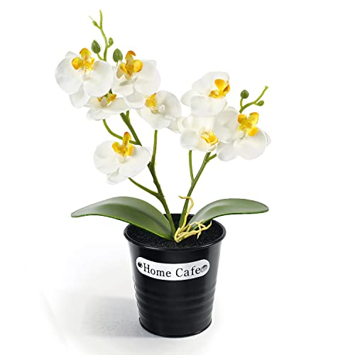 RENATUHOM Künstliche Orchideenblume Zimmerpflanzen weiße Orchideen künstliche Pflanzen gefälschte Seidenblume Bonsai Dekoration Esstisch Tafelaufsatz Badezimmer Ornament von RENATUHOM