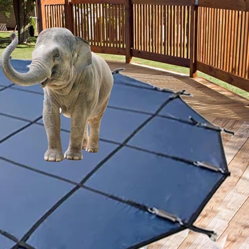 RENLXFI Abdeckplane Pool Winter Poolabdeckungsschutz, Runder Sicherheitsdeckel Blauem Netzgewebe In Sondergröße Für Schwimmbäder, Planen Für Einbaupools Mit Messingankern(Dia 19.5foot/5.9m) von RENLXFI