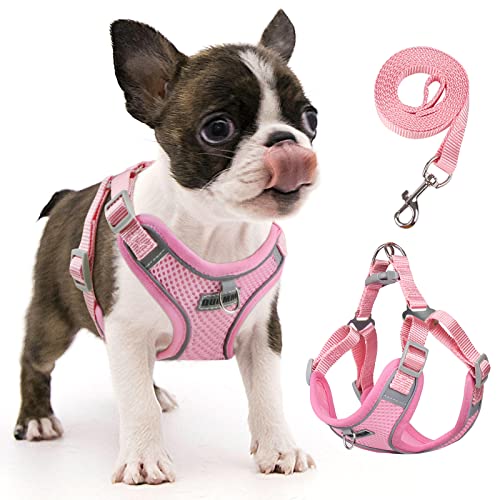 rennaio Hundegeschirr Kein Ziehen, Verstellbares Welpengeschirr mit 2 Leinenclips, Reflektierendes Hundegeschirr und Leine Set für kleine und mittelgroße Hunde (Rosa, S) von RENNAIO