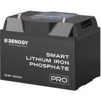 Renogy 12V 100Ah LiFePO4-Batterie – Mit 60-fachem BMS-Schutz, Selbsterhitzung und über 5000 Zyklen – Für Marine- und Off-Grid-Anwendungen von RENOGY