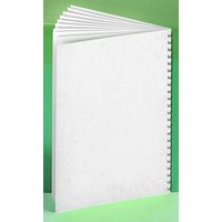 RENZ Rückwände für Bindemappen DIN A4 250 g/qm weiß von RENZ