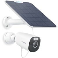 Reolink - 4K 8MP wlan Überwachungskamera Aussen Akku, 2,4/5GHz WiFi, Person/Auto/Tiererkennung, Farbnachtsicht, Keine Monatsgebühr, Argus Eco Ultra, von REOLINK