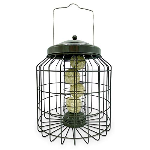 REPEAK Großer robuster Eichhörnchensicherer Vogelfutterspender für Talg, Vogelfutter, Outdoor, Garten, mit starkem verzinktem Metallkäfig zur Abschreckung von Eichhörnchen und großen Vögeln von REPEAK