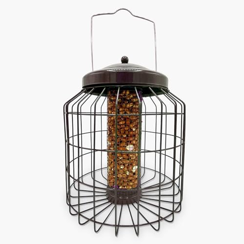 Großer robuster Vogelfutterspender für Erdnussfutter im Freien, Garten, mit starkem verzinktem Metallkäfig zur Abschreckung von Eichhörnchen und großen Vögeln von REPEAK