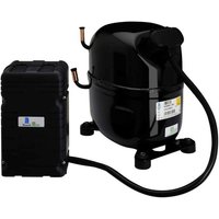 Tecumseh Caj4517Z Kompressor R404A 220V 3CV Medium Temperatur 25,95 cm3 von REPORSHOP