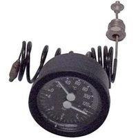 Reporshop - Thermohydrometer Caldera Fagor Eco Compact Fe20E2B MU1208500 von REPORSHOP
