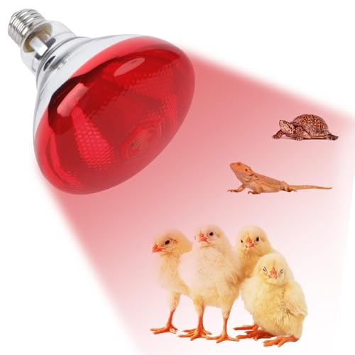REPTI HOME Infrared Heat Lamp Bulbs for Chicken, 250W Infrared Light Red Heat Bulb, Reptile Heat Lamps for Poultry, Chicks, Puppies, Cats, Pigs, Dogs von REPTI HOME