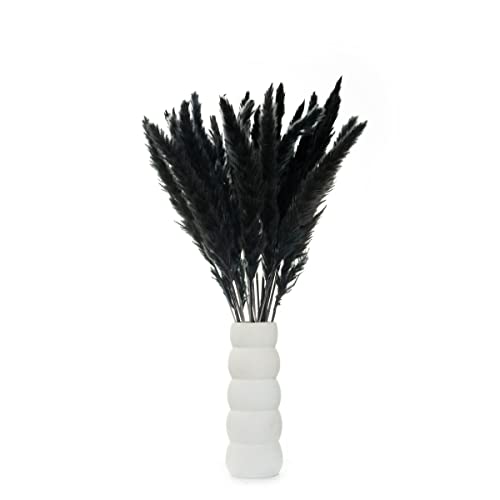 30 Stück Pampasgras schwarz Deko Trockenblumen künstlich Pampas Dekoration Skandi-Deko fluffig Wedel Hochzeit Wohnzimmer Bad Home Hausdeko Tischdeko Vase Eyecatcher von REQUYRE