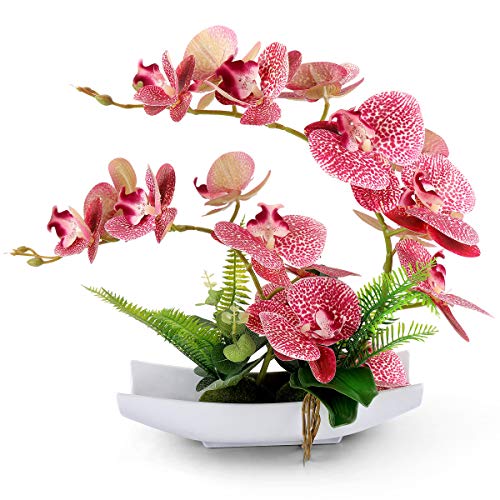 RERXN Dekorative echte Berührung gefälschte Orchidee Bonsai künstliche Blumen mit Imitation Porzellan Blumentöpfe Phalaenopsis Blumenarrangements für Home Decoration (Purple) von RERXN