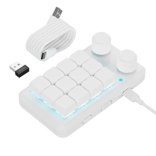RETUOLWAG Anpassbare Makros-Tastaturen mit 12 Tasten RGBs, Beleuchtung, zwei Reglerknöpfen, Empfänger und USB-C-Kabel von RETUOLWAG
