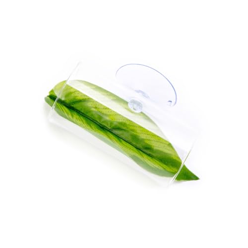 RETUOLWAG Künstliche bunte Wasserpflanze, kleine Aquarium-Dekoration, Landschaft zur Verschönerung des Aquariums, Landschaftsgestaltung, Aquariumpflanze, Acryl, groß RETUOLWAG Künstliche bunte Wasserpflanze, kleine Aquarium-Dekoration, Landschaft zur Verschönerung des Aquariums, Landschaftsgestaltung, Aquariumpflanze, Acryl, groß von RETUOLWAG