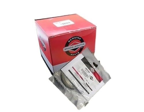 64-mm-Kolben und Kolbenring, kompatibel mit B und S 750DOV DOV750 DOV Motormotor L Mäher-Wasserpumpe 590404(PISTON RING SET) von REUISAX