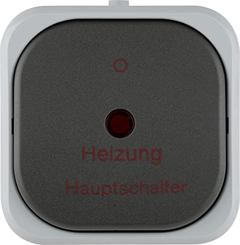 REV 0511665777 AquaTop, Heizungsschalter Feuchtraum IP44, zweipolig, Aufputz, grau von REV