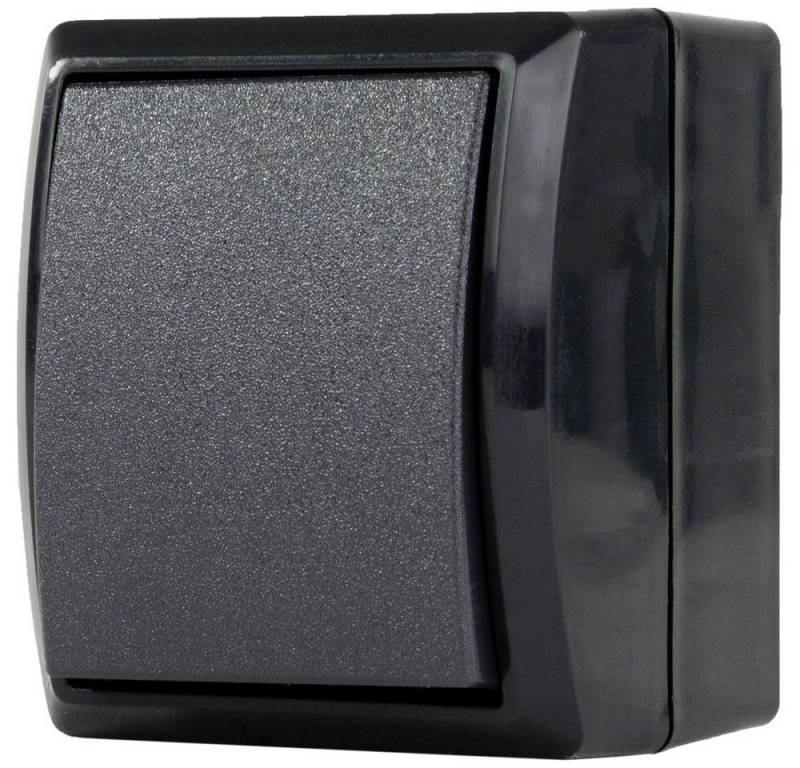 REV Steckdose REV 0007301900 Aufputz-Schalter IP44 Anthrazit von REV
