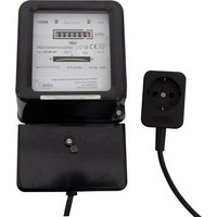 REV Wechselstromzähler (generalüberholt) (gut) 1St. von REV