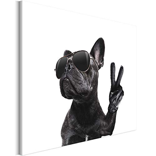 REVOLIO 75x50 cm Leinwandbild Wandbilder Wohnzimmer Modern Kunstdruck Design Wanddekoration Deko Bild auf Leinwand Bilder 1 Teilig - Tiere Französische Bulldogge Brille von REVOLIO