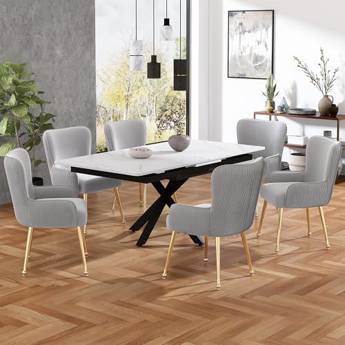 REXO Samt-Esszimmerstuhl, 6er-Set, luxuriös, Wohnzimmer, Schlafzimmer, Lounge-Stuhl mit Vier Goldene Metallstützbeinen, Mit Armlehnen und verstellbaren Füßen, Lendenwirbelstütze,Grau von REXO