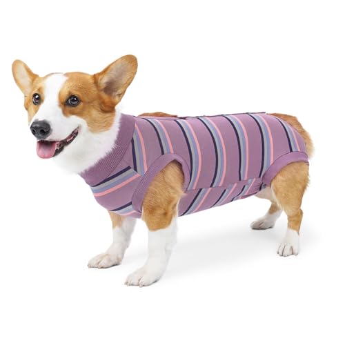 Dog Recovery Suit | Breathable Modal Fabric for Post - Procedure Healing | Easy Use Fastener Design | Urine Pad Interlayer for Dogs/Puppies | Reduces Licking Wounds (REXVTNSbl8DgK-11) von REXVTNS