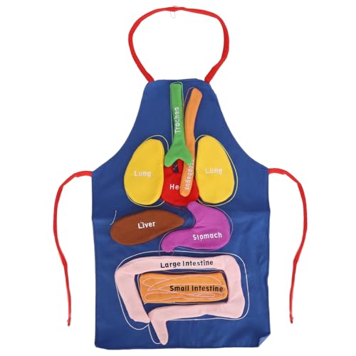 REXVTNS 3D Organ Apron | Detachable Human Body Organs Anatomy Costume | Educational Learning Toy for Youngsters/Science Class/Parent - Child Games | DIY Body Awareness Tool von REXVTNS
