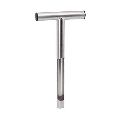 REXVTNS Soil Sampler Probe | 304 Stainless Steel Heavy - Duty | T Handle Soil Sampling Tool for Farm/Garden/Lawn | 2.5cm Diameter Probe (12 Inch) von REXVTNS