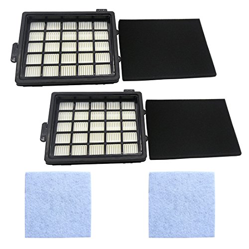 REYEE 2 Stücke HEPA Filter für Philips Staubsauger (FC8071/01) mit Motoreinlassfilter von REYEE