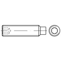 Din 915/ISO 4028 Gewindestift vg M6x50 Stahl 45H galvanisch verzinkt Innensechskant m. Zapfen 200 Stk Din 915/ISO 4028 Gewindestift vg M6x50 Stahl 45H galvanisch verzinkt Innensechskant m. Zapfen 200 Stk von REYHER