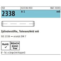 [NEUWERTIG] Reyher Iso 2338 Zylinderstift Stift 1.4305 10 M6 X 50 Rostfrei A 1 50 Stück B-Ware von REYHER