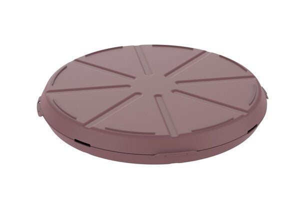 REuse Pizzabox take away Verpackung - Essensbehälter to go von REuse