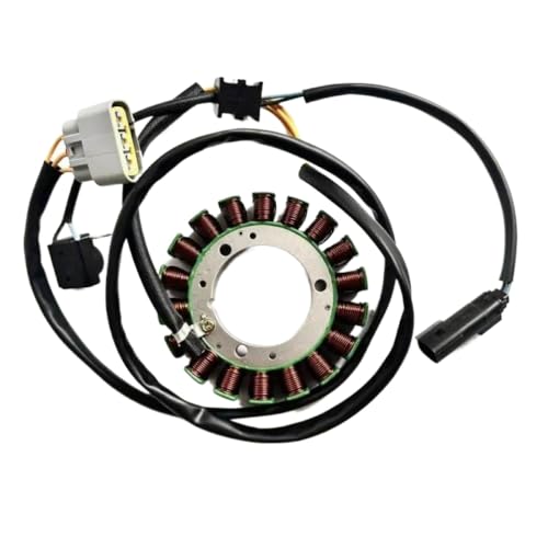 Kompatibler Statormagneto Kompatibel mit Hisun UTV ATV-Modelle 550 750 500 700 Ersatzteile HS500ATV HS700ATV HS500UTV HS700UTV 31120-007G-0000 31120-007-0000 von REwNXA