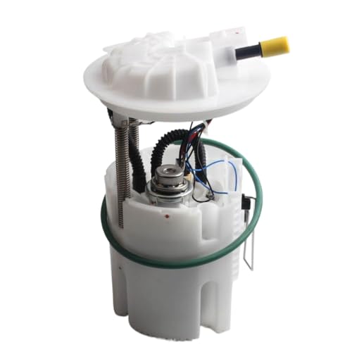 Kraftstoffpumpenbaugruppe 68030875AA kompatibel mit Caravan 3.6 RAM 2008 bis 2020 Modelle 68030875ab 68030923ab von REwNXA