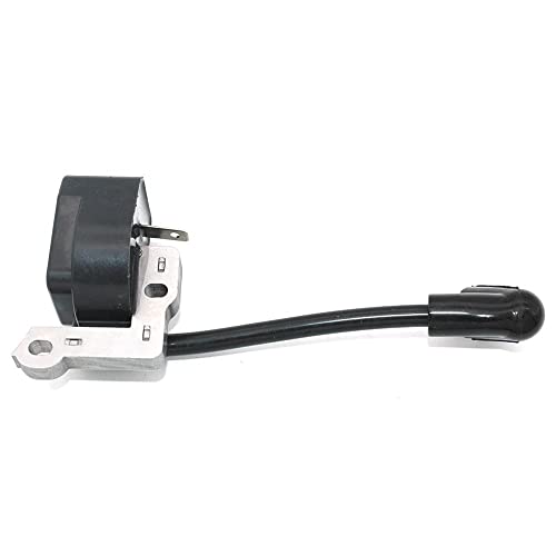 Zündspule kompatibel mit RY28140 RY28100 RY28120 RY28121 RY28141 RY28160 RY28161 RY39506 RY28101 und mehr von REwNXA