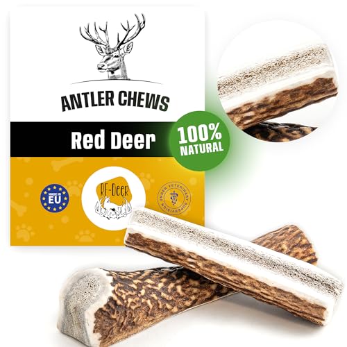 RF-Deer Hundesnack Rothirsch Geweih Kausnack - Hirschgeweih für Hunde, 100% Natürlicher, Kauspielzeug Hund, Hundespielzeug Kauknochen für Genuss und Zahnpflege (M Soft - 1 Stück) von RF - Deer