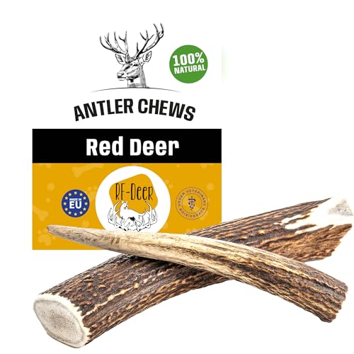 RF-Deer Hundesnack Rothirsch Geweih Kausnack - Hirschgeweih für Hunde, 100% Natürlicher, Kauspielzeug Hund, Hundespielzeug Kauknochen für Genuss und Zahnpflege (S Hard - 1 Stück) von RF - Deer