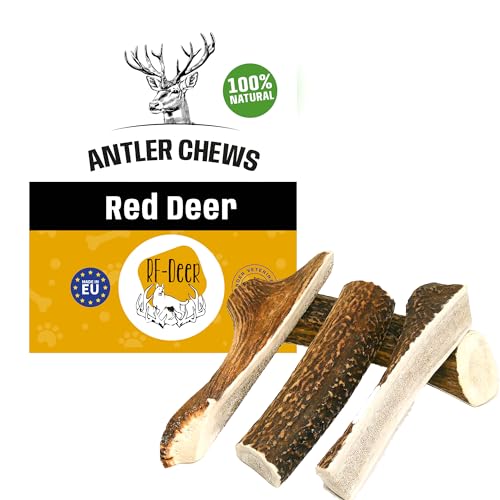 RF-Deer Hundesnack Rothirsch Geweih Kausnack - S Soft, Hirschgeweih für Hunde, 100% Natürlicher, Kauspielzeug Hund, Hundespielzeug Kauknochen für Genuss und Zahnpflege - 1 Stück von RF - Deer