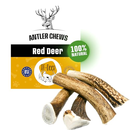 RF-Deer Hundesnack Rothirsch Geweih Kausnack - Hirschgeweih für Hunde, 100% Natürlicher, Kauspielzeug Hund, Hundespielzeug Kauknochen für Genuss und Zahnpflege (L, Hard - 5 Stück) von RF - Deer