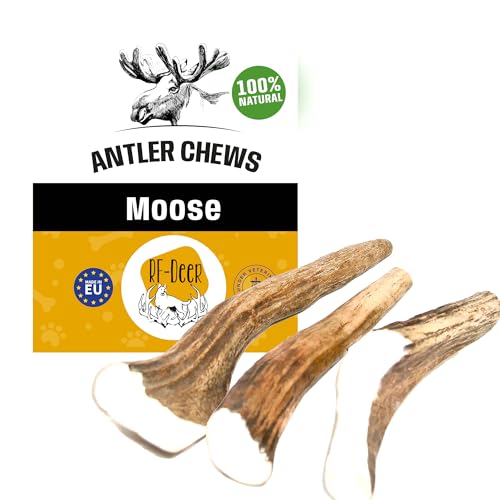 RF-Deer Elchgeweih, Geweihstück Größe XXL Hard, 0,5 kg - 17 cm, Natürlicher Geweih-Kausnack für Hunde, Gesunder Kauspielzeug, Kauknochen für Zahnpflege Hund, Hundespielzeug von RF - Deer