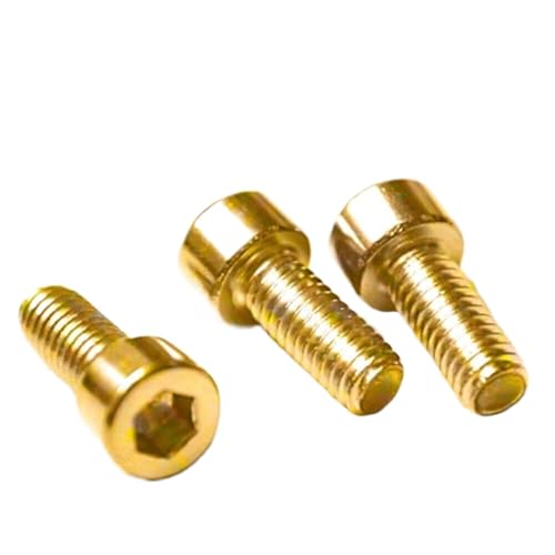 5 Stück, M2 M2.5 M3 M4 M5 M6 M8 Messing-Innensechskantschrauben mit Innensechskant(M10 x 30mm) von RFDRR